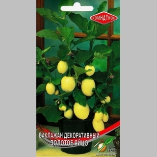 Баклажан Золотое яйцо комнатный