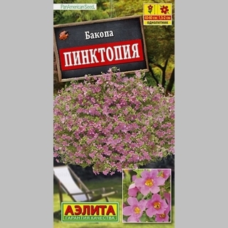 Бакопа Пинктопия