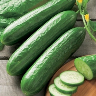 Огурец Балконное Чудо ® F1