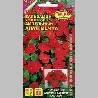 Бальзамин Алая мечта F1 (ампельный)
