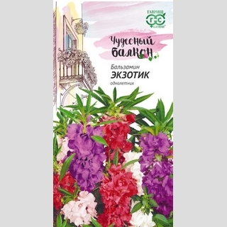 Бальзамин Экзотик смесь