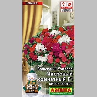Бальзамин Махровый комнатный F1