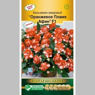 Бальзамин Оранжевое Пламя Афин F1
