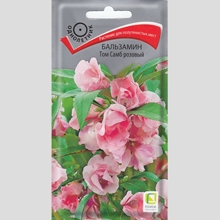Бальзамин Том Самб Розовый