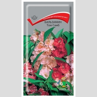 Бальзамин Том Самб смесь