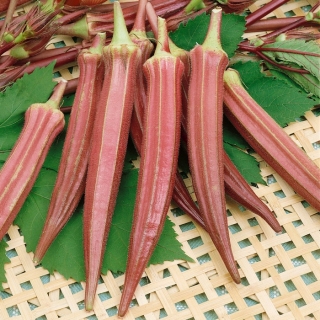 Бамия Карминная Пышная F1