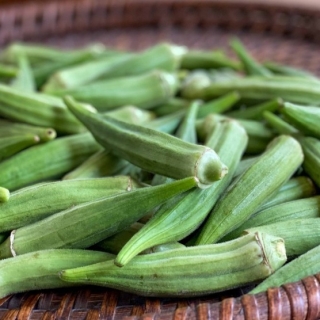 Бамия Юнона