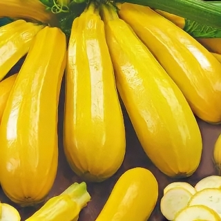 Кабачок Бананы на Грядке F1