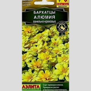 Бархатцы Алюмия Ванильно-кремовые