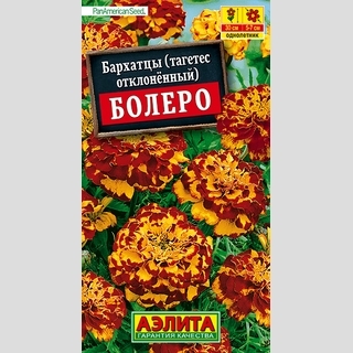 Бархатцы Болеро