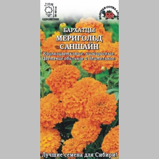 Бархатцы Мериголд Саншайн