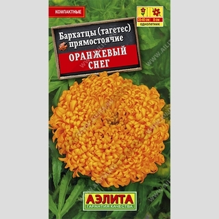 Бархатцы Оранжевый снег