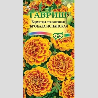 Бархатцы Брокада Испанская