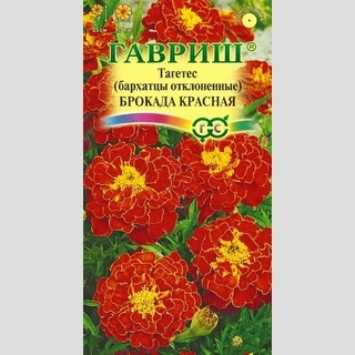 Бархатцы Брокада Красная