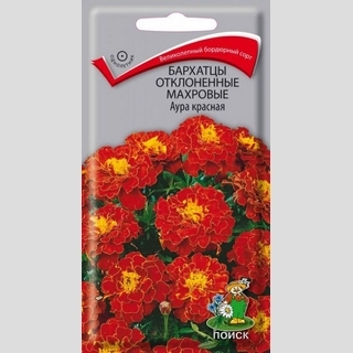 Бархатцы Аура Красная