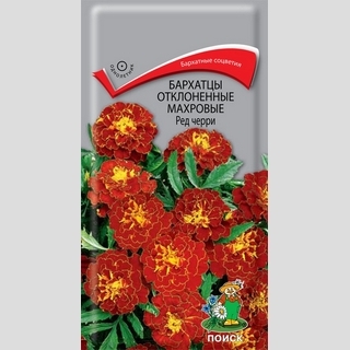 Бархатцы Ред Черри