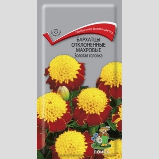 Бархатцы Золотая головка