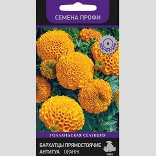 Бархатцы Антигуа F1 Оранж