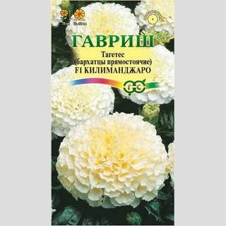 Бархатцы Килиманджаро F1