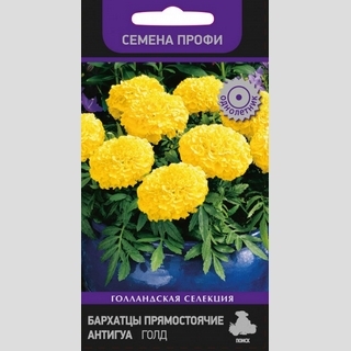 Бархатцы Антигуа F1 Голд