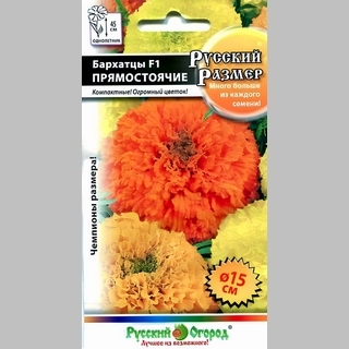 Бархатцы Русский размер F1 смесь (прямостоячие)