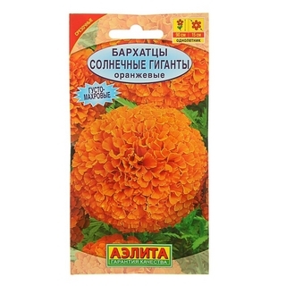 Бархатцы Солнечные Гиганты Оранжевые