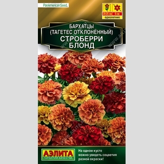 Бархатцы Строберри блонд