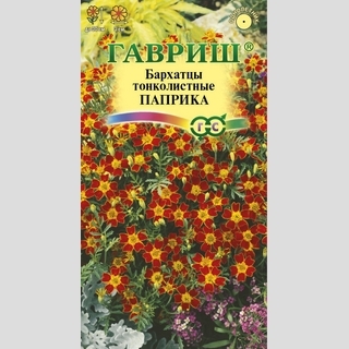 Бархатцы Паприка