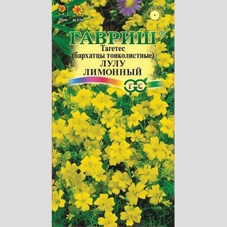 Бархатцы Лулу лимонный