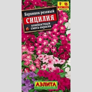 Барвинок Сицилия смесь окрасок