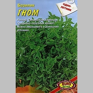 Базилик Гном