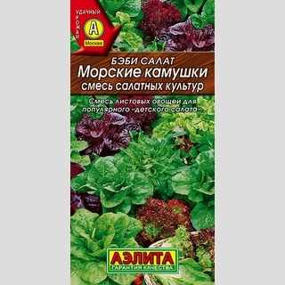 Бэби салат Морские камушки смесь