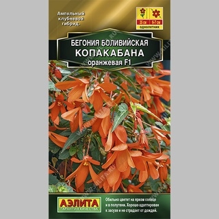 Бегония Копакабана F1 оранжевая боливийская
