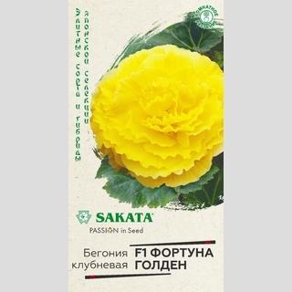 Бегония Фортуна Голден F1 клубневая