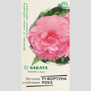 Бегония Фортуна Роуз F1 клубневая