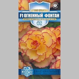 Бегония Огненный фонтан F1