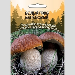 Грибы - Белый Гриб Березовый (мицелий) 30мл (большой пакет)