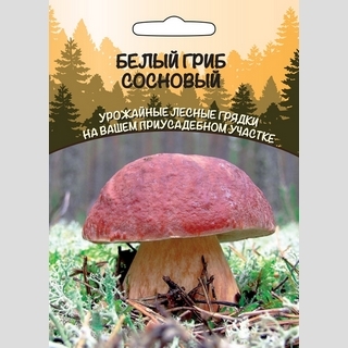Грибы - Белый Гриб Сосновый (мицелий) 30мл (большой пакет)