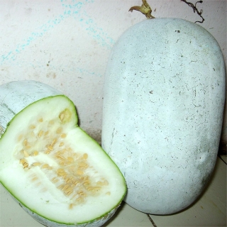 Бенинказа Ченьчжоу (Восковая Тыква) (большой пакет)