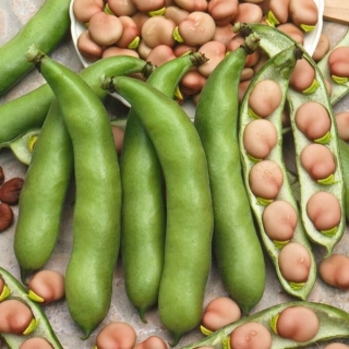 Бобы Велена