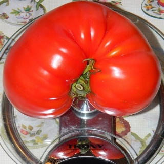 Томат Большой Кэрролл
