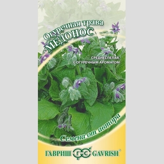 Бораго Медонос (Огуречная трава)