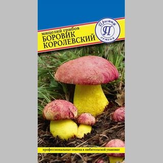 Грибы - Боровик королевский 60 мл