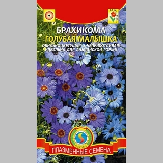 Брахикома Голубая малышка