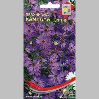 Брахикома Камилла синяя