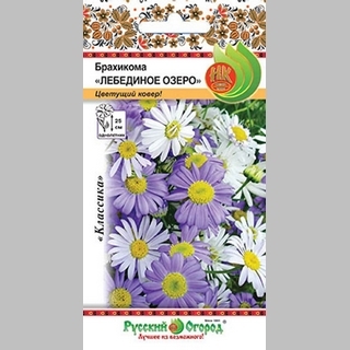 Брахикома Лебединое озеро