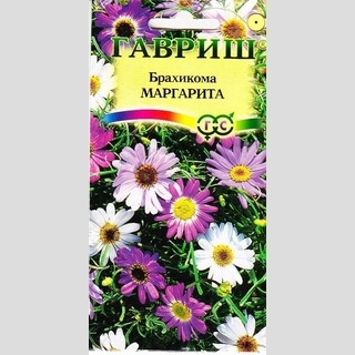 Брахикома Маргарита