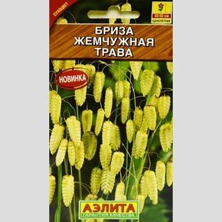 Бриза Жемчужная трава