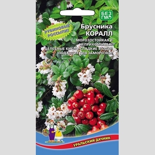 Брусника Коралл