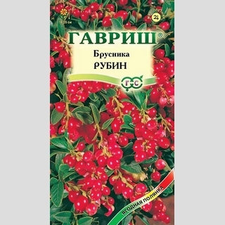 Брусника Рубин
